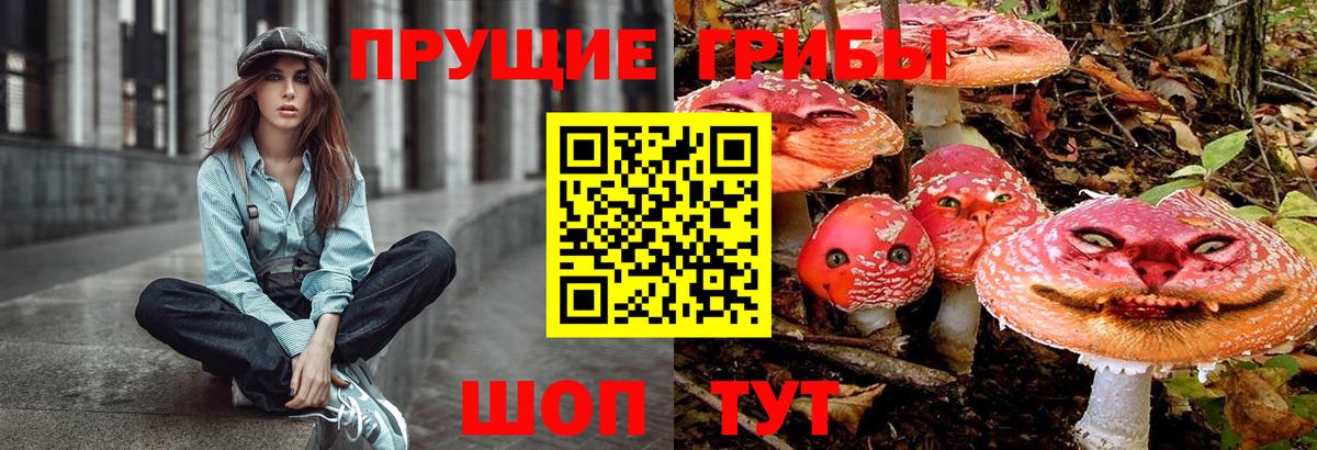 Галлюциногенные грибы Psilocybine cubensis  Вход с VPN  Новый Уренгой 